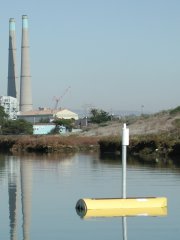 RiverLOBO